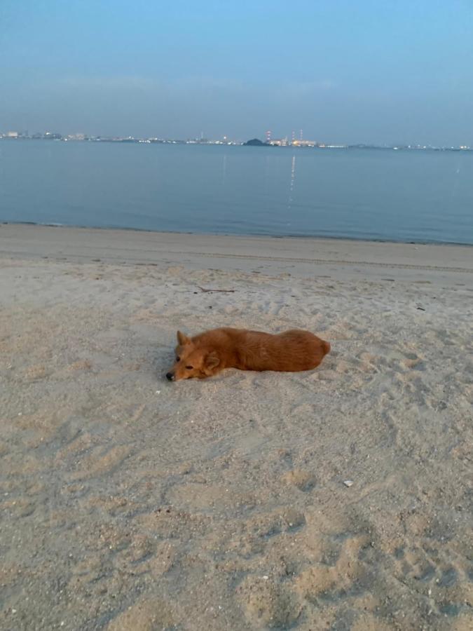 Sea View 2 Bedroom Fully Furnished Apartment Forest City Starview Bay Johor Malaysia Kampong Pok Kechil Eksteriør billede